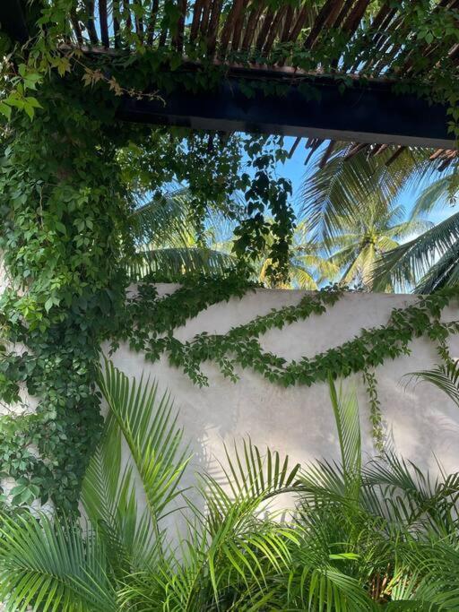 Casa Tulup Sisal Vila Exterior foto